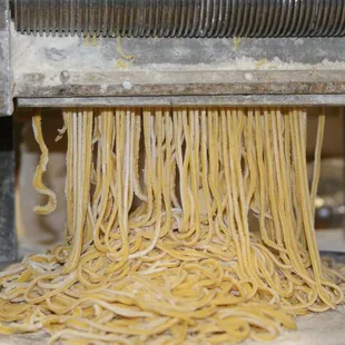ramen and noodles