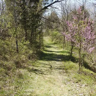 Hiking Trail