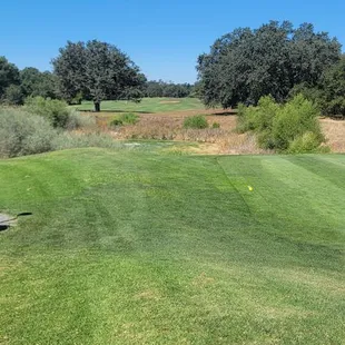 Nice and Green