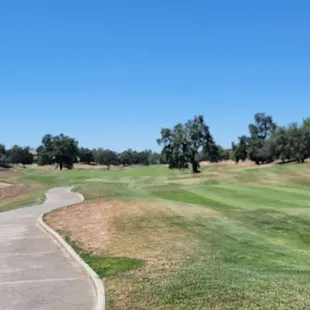 Long Fairway