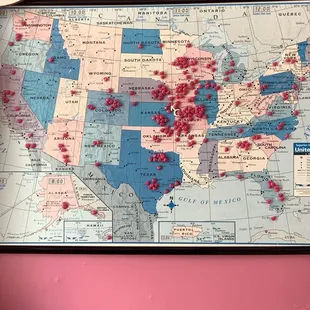 Pink dots represents where people have traveled from to try her gluten free goodness. Impressive.