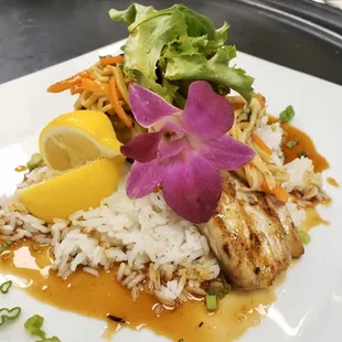 Fresh Mahi Mahi