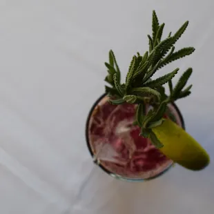 Miss Morgan's Teetotaler