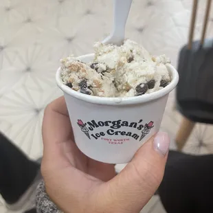 Holy Cannoli! So good  cinnamon ice cream with chocolate chips and bits of cannoli
