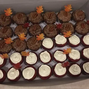 Seasonal Cupcakes