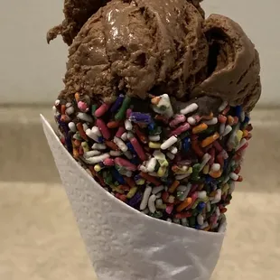 Chocolate Sprinkle Cone with Chocolate Ice cream