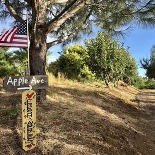 U-Pick Organic Apples