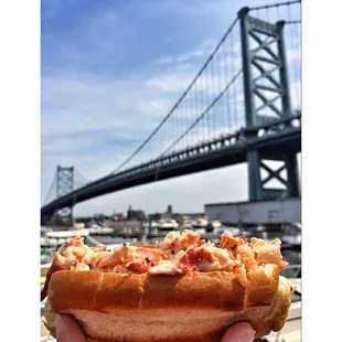 Lobster Roll