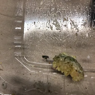 there was a bug in my salad