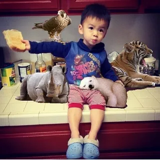 Fenny L.