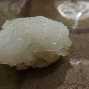 White Squid