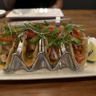 Spicy Tuna Tacos