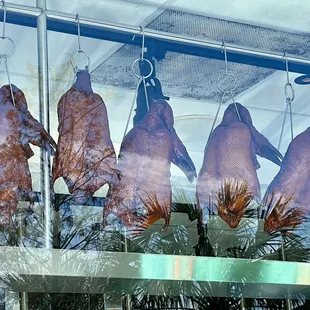 01.20.24 Whole roast duck hanging in the window