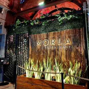 Storefront at night