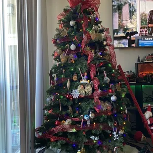 7ft tree. $115 and WORTH the price