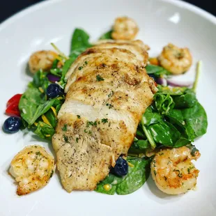 Chicken and Shrimp Salad