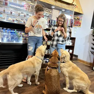 MV Barista&apos;s serving up dog bone latte&apos;s