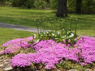 Eagle Pines Golf Club