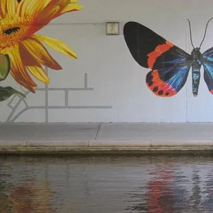 Morphos by Augustina Droze (2011)
