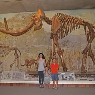 mammoth!  the real deal as found in nebraska.