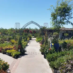 There's beauty in every direction that you turn