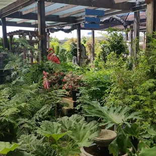 Beautiful nursery in Riverbank