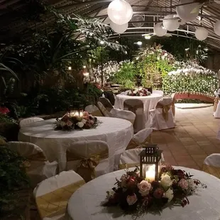 Wedding in our conservatory