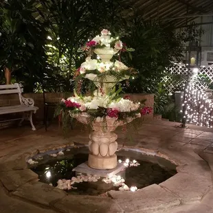 Wedding in our conservatory