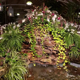 Wedding in our conservatory