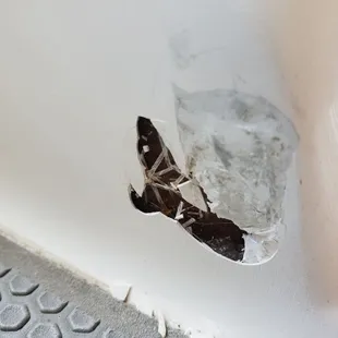 No fiberglass back there and gel coat was only eggshell thin. They had to reinforce it and match the gel coat.