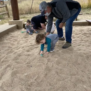Fossil dig in the sand quarry.