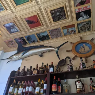 a marlin fish mounted on the wall