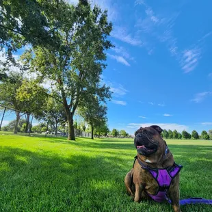 Chilling before the heat hits