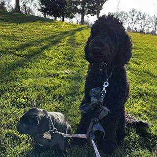 With friends Fiona and Finlee