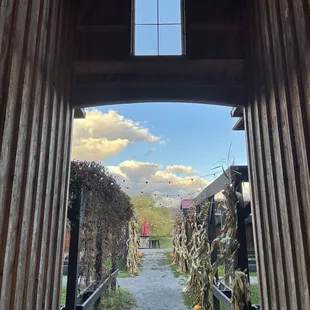 Looking from parking lot through to part of patio/lawn.