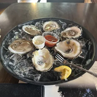 Oysters in a 1/2 shell