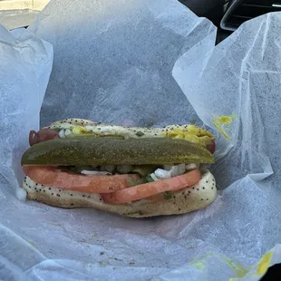 Chicago Dog