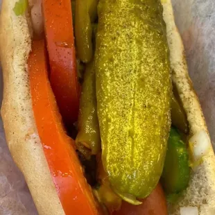 Chicago Dog!
