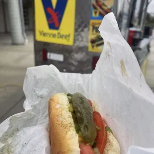Chicago Dog