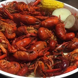 Crawfish