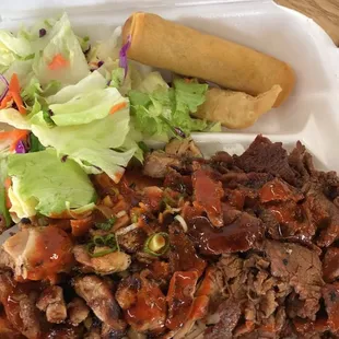 Combination plate chicken and beef