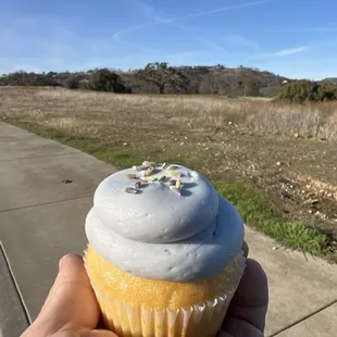 Lavender vanilla cupcake