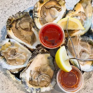 Oysters on The Half Shell