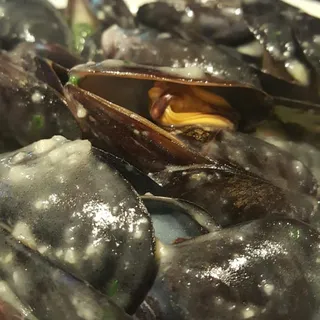 Mussels
