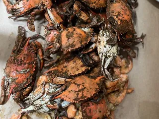 Maryland Blue Crab Crab House