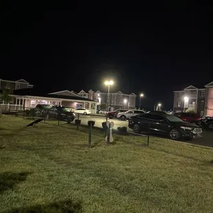 What is supposed to be a DOG park not a playground we already have one of those.