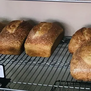 Sourdough loafs 23-2023