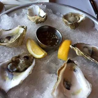 Half Dozen Oysters*