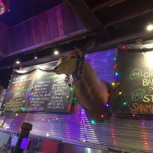 Cool decor above the ordering area