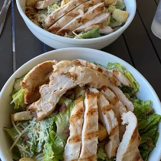 Mosquito Caesar